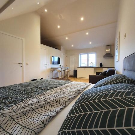 Brussels North - Pajot Apartments Wemmel 외부 사진